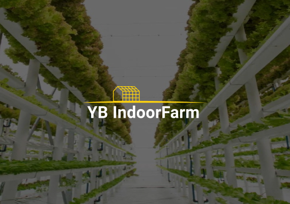 Indoor Farming